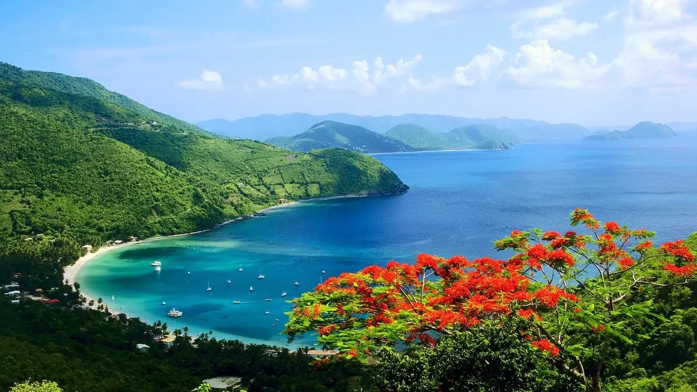 自动化精密